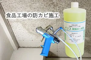 食品工場の防カビ施工
