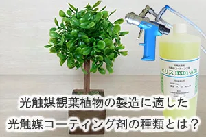 光触媒観葉植物の製造に適した光触媒コーティング剤の種類とは?