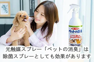 光触媒スプレー「ペットの消臭」は除菌スプレーとしても効果があります