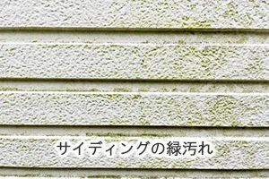 サイディングの緑汚れ