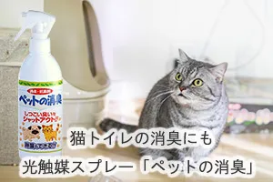 猫トイレの消臭にも光触媒スプレー「ペットの消臭」