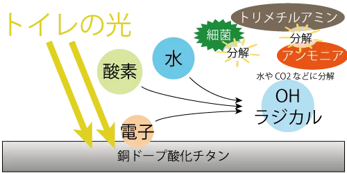 銅ドープ酸化チタンによるトイレの染み付き臭の消臭メカニズム