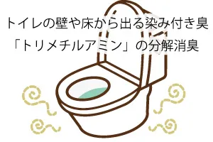 トイレの壁や床から出る染み付き臭「トリメチルアミン」の分解消臭