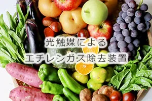 光触媒によるエチレンガス除去装置