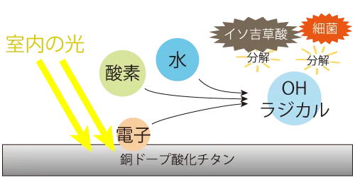 銅ドープ酸化チタンがイソ吉草酸や細菌を酸化分解して消臭
