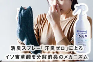 消臭スプレー「汗臭ゼロ」によるイソ吉草酸を分解消臭のメカニズム