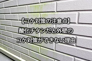 【コケ対策の注意点】酸化チタンだと外壁のコケ対策ができない理由