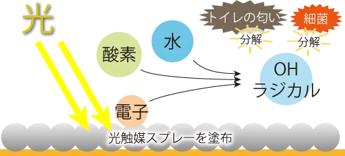 光触媒スプレーを塗布したところに光が当たるとOHラジカルが発生。トイレの匂いと細菌を分解