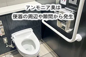 アンモニア臭は便器の周辺や隙間から発生