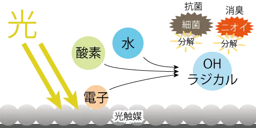 光触媒による細菌の抗菌、ニオイの分解消臭メカニズム