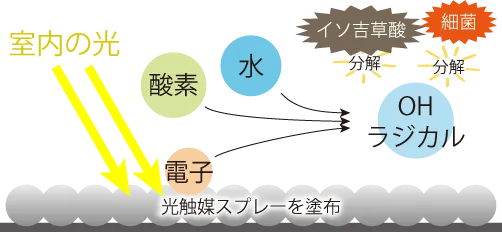 銅ドープ酸化チタンがイソ吉草酸を酸化分解するメカニズム