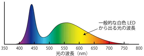 一般的な白色LEDから出る光の波長