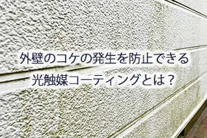 外壁のコケの発生を防止できる光触媒コーティングとは？