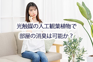 光触媒の人工観葉植物で部屋の消臭は可能か？