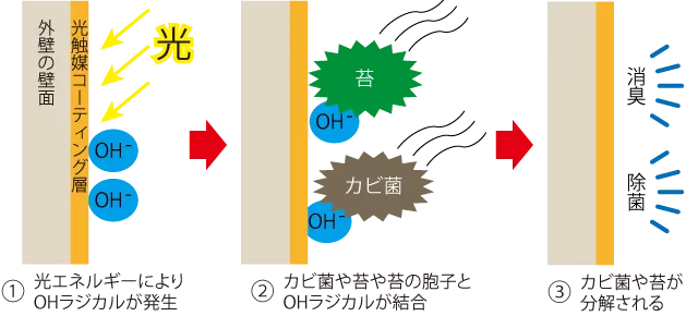 酸化チタンによる防カビ・防苔の仕組み