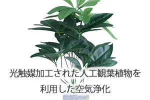 光触媒加工された人工観葉植物を利用した空気浄化