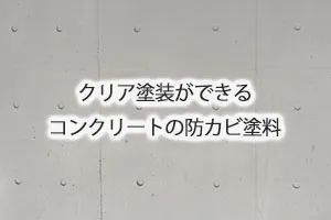 クリア塗装ができるコンクリートの防カビ塗料