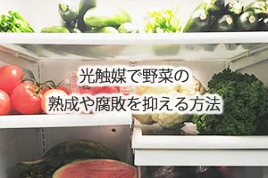 光触媒で野菜の熟成や腐敗を抑える方法