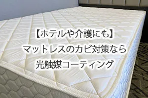 【ホテルや介護にも】マットレスのカビ対策なら光触媒コーティング