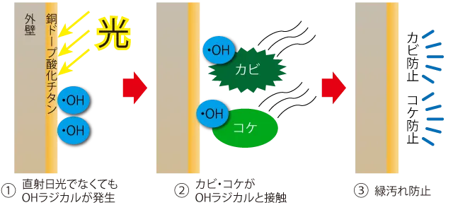 外壁にコーティング塗装した銅ドープ酸化チタンがカビやコケを防止し緑汚れを防ぐ