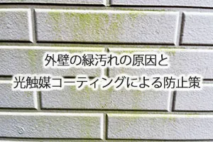 外壁の緑汚れの原因と光触媒コーティングによる防止策