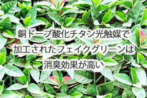 銅ドープ酸化チタン光触媒で加工されたフェイクグリーンは消臭効果が高い