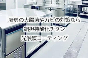 厨房の大腸菌やカビの対策なら銅担持酸化チタン光触媒コーティング