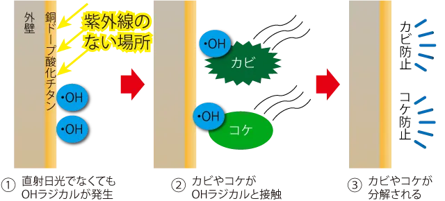 直射日光が当たらない外壁でも銅ドープ酸化チタンならカビ防止やコケ防止が可能