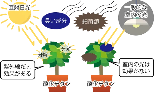 酸化チタンを使った光触媒観葉植物は直射日光でないと効果が無い