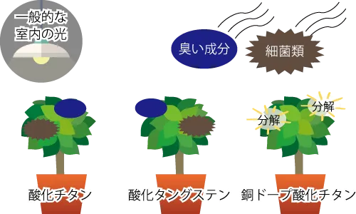 銅ドープ酸化チタンを使った光触媒観葉植物なら一般的な室内の光で効果がある