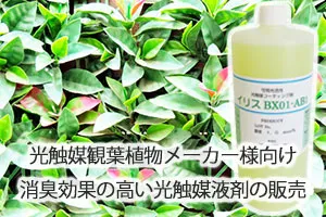 光触媒観葉植物メーカー様向け消臭効果の高い光触媒液剤の販売