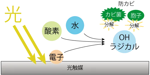 光触媒で防カビができるメカニズム