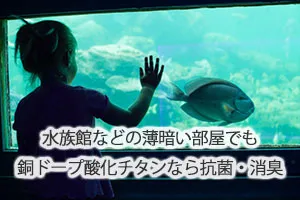 水族館などの薄暗い部屋でも銅ドープ酸化チタンなら抗菌・消臭