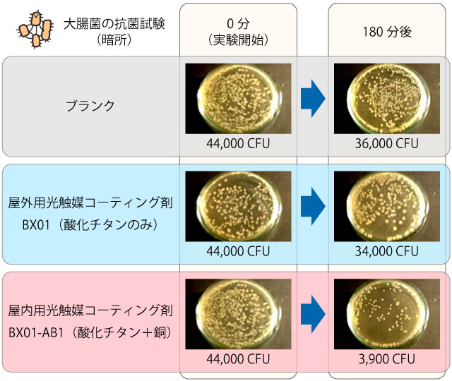 屋外用光触媒コーティング剤（BX01）と酸化チタンに銅を添加した屋内用光触媒コーティング剤（BX01-AB1）の大腸菌抗菌試験（暗所）比較