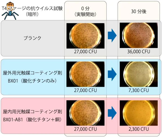 屋外用光触媒コーティング剤（BX01）と酸化チタンに銅を添加した屋内用光触媒コーティング剤（BX01-AB1）のT4ファージ抗ウイルス試験（暗所）比較