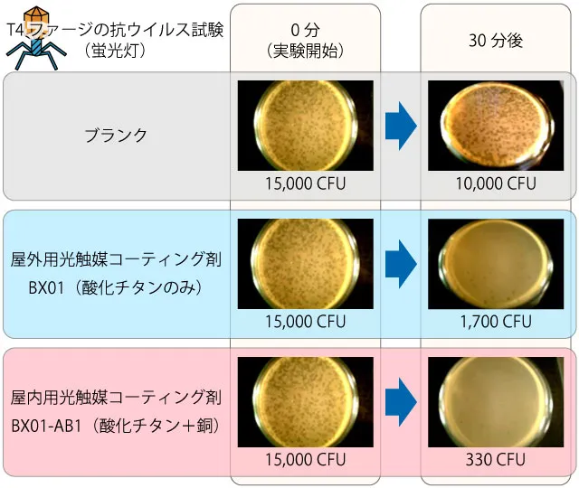 屋外用光触媒コーティング剤（BX01）と酸化チタンに銅を添加した屋内用光触媒コーティング剤（BX01-AB1）のT4ファージ抗ウイルス試験（蛍光灯）比較